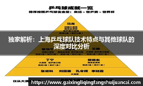 独家解析:上海乒乓球队技术特点与其他球队的深度对比分析
